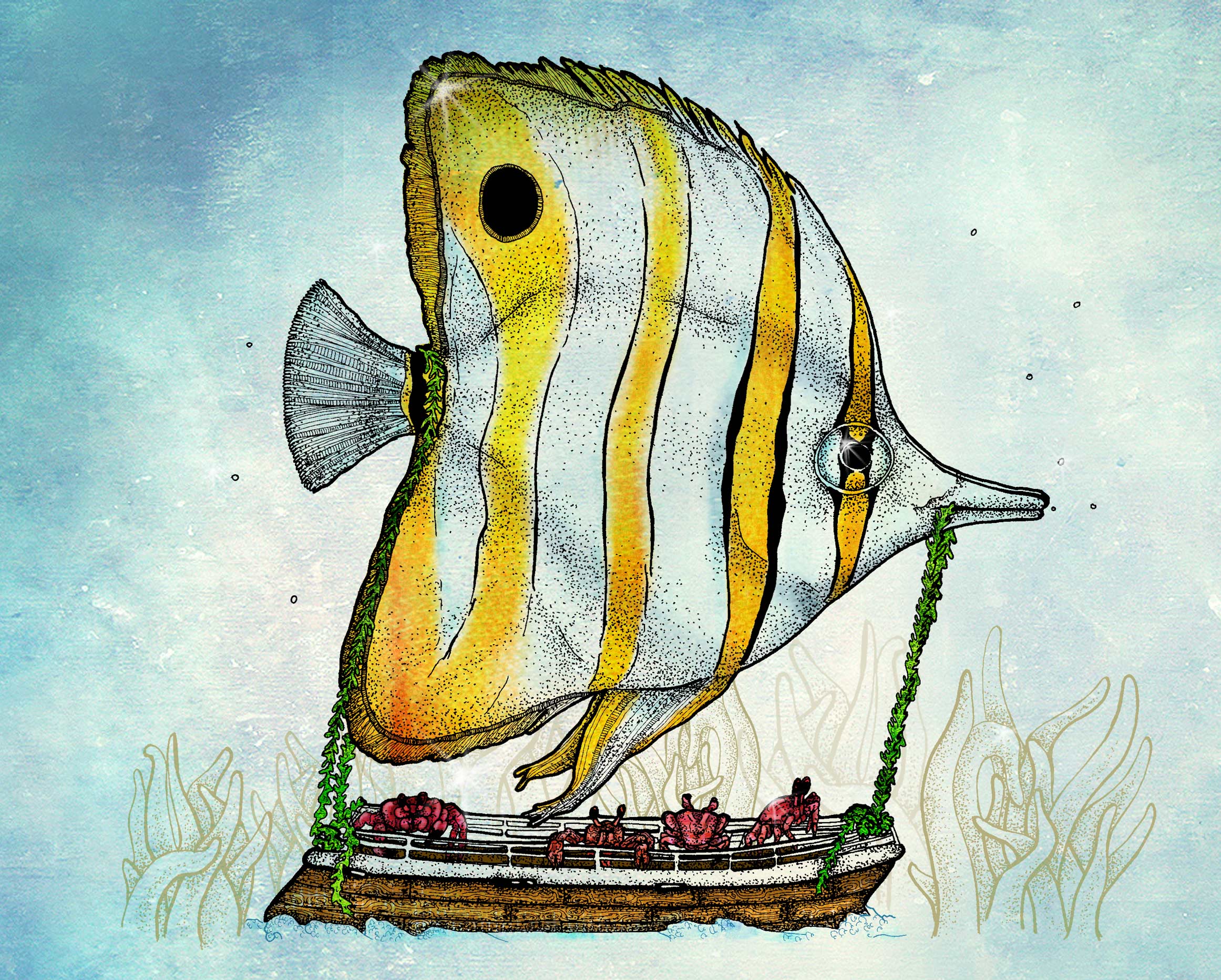 Illustrations narratives